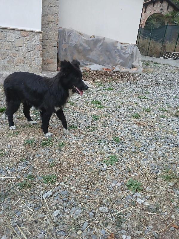 Quattro Calzini Foto 3